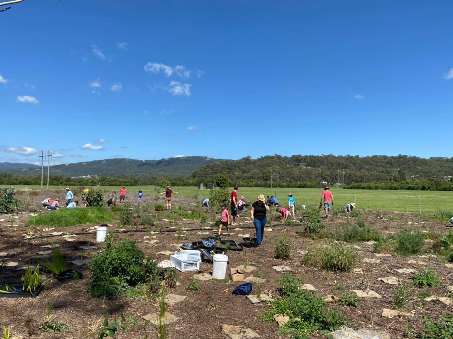 Coomera River Catchment Group